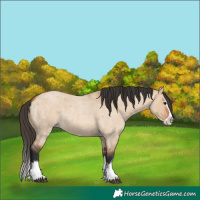Horse Color:Bay Roan Dun Splash