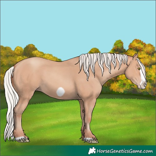 Horse Color:Silver Amber Champagne Frame 