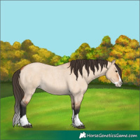 Horse Color:Bay Roan Dun Splash 