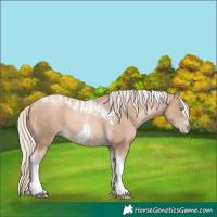 Horse Color:Chocolate Palomino Pearl Tobiano Frame and Chocolate Palomino Pearl Tobiano Frame