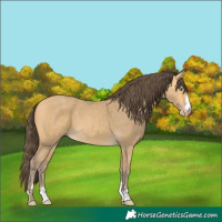 Horse Color:Amber Cream Champagne