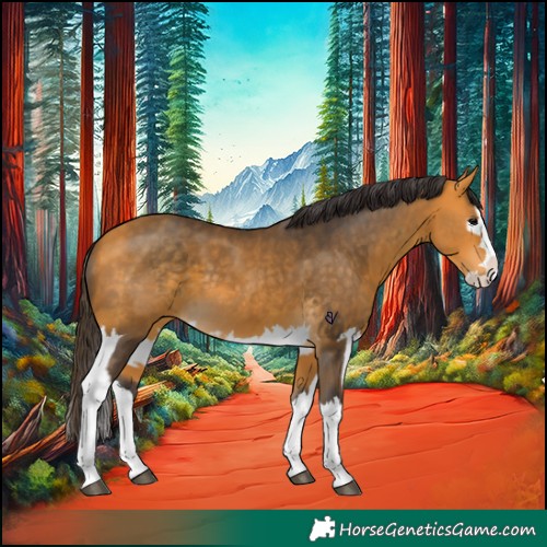Horse Color:Buckskin Splash  and Buckskin Splash 