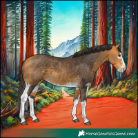 Horse Color:Buckskin Splash  and Buckskin Splash 