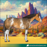 Horse Color:Buckskin Splash  and White Spotted Buckskin Splash 