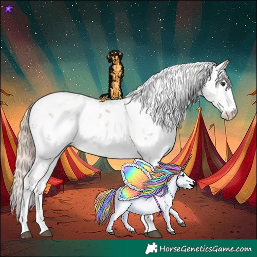 Horse Color:Chestnut Sabino 