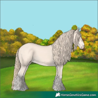 Horse Color:Perlino