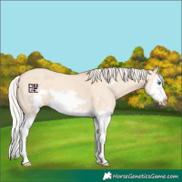 Horse Color:Silver Classic Champagne Dun Splash Frame