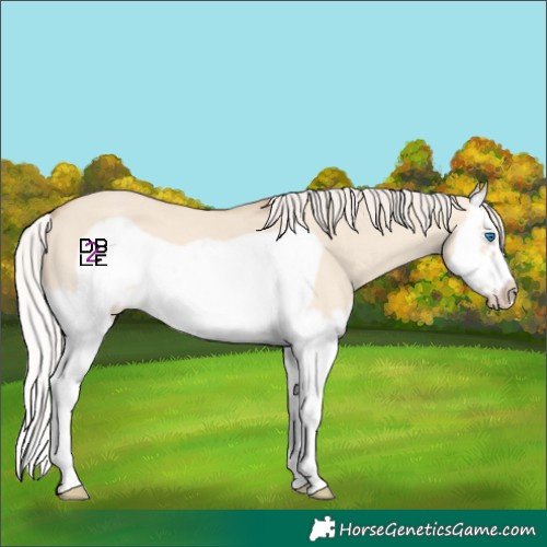 Horse Color:Silver Classic Champagne Dun Splash Frame 