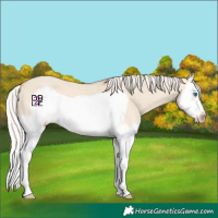 Horse Color:Silver Classic Champagne Dun Splash Frame 