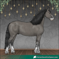 Horse Color:Grullo Sabino Rabicano 