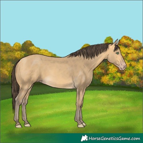 Horse Color:Amber Cream Champagne 