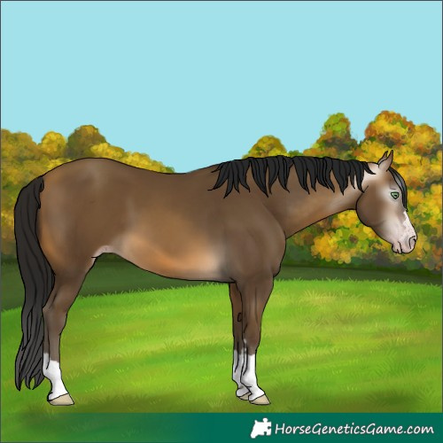 Horse Color:Gray Sable Cream Champagne