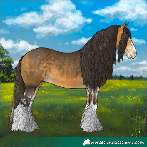 Horse Color:Buckskin Splash  and Buckskin Splash 