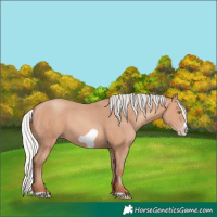 Horse Color:Silver Amber Champagne Frame 