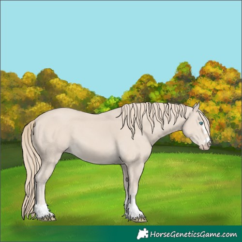 Horse Color:Smoky Creme