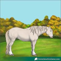 Horse Color:Smoky Creme 