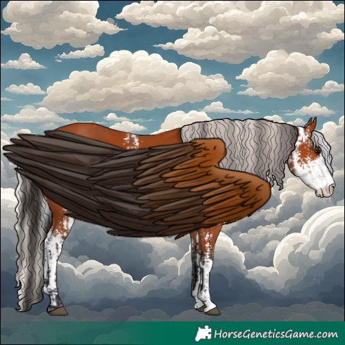 Horse Color:Bay Sabino  and Silver Bay Sabino 