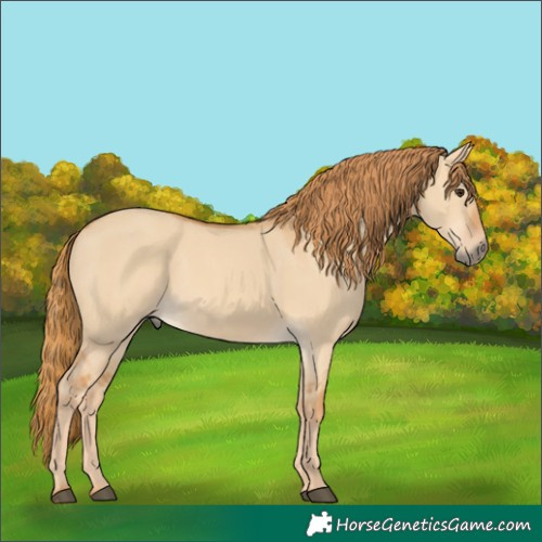 Horse Color:Red Dun