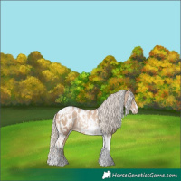 Horse Color:Chocolate Palomino Pearl Tobiano Frame  and Chocolate Palomino Pearl Tobiano Frame Appaloosa 