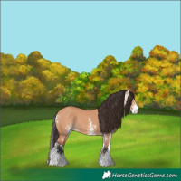 Horse Color:Bay Dun Sabino  and Bay Dun Sabino 