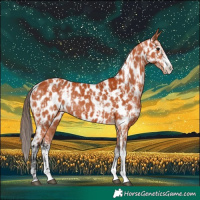 Horse Color:Bay Sabino Near Leopard and Bay Sabino Near Leopard