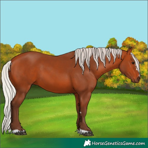 Horse Color:Silver Bay 