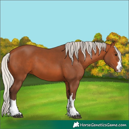 Horse Color:Silver Bay 