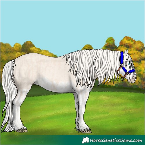 Horse Color:Cremello Splash  and Cremello Dun Splash 