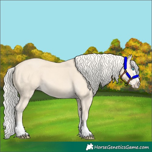 Horse Color:Cremello Splash  and Cremello Splash 