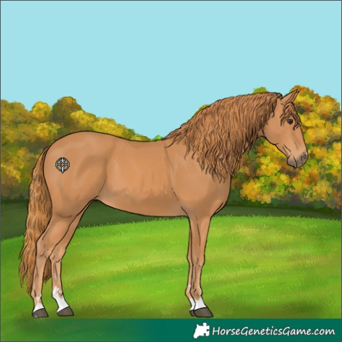 Horse Color:Chestnut 