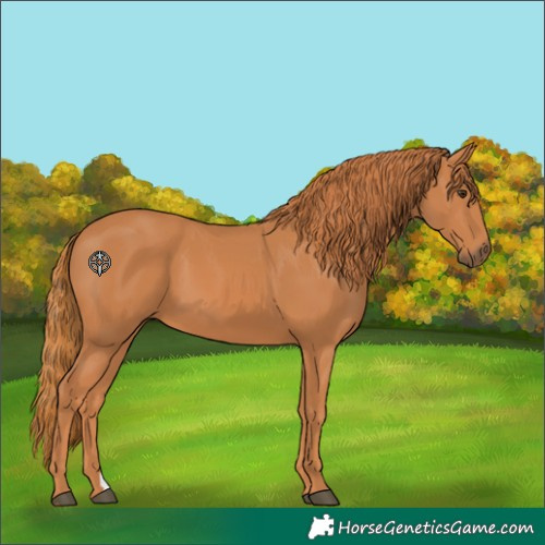 Horse Color:Chestnut 