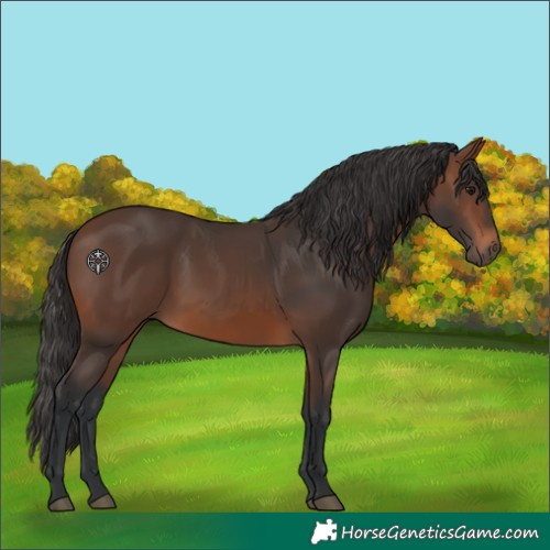 Horse Color:Brown 