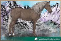 Horse Color:Silver Black 