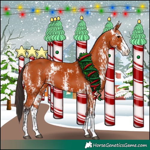 Horse Color:Bay Sabino  and Bay Sabino 