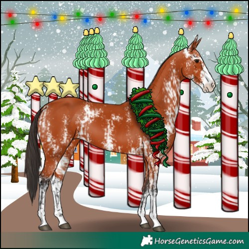 Horse Color:Bay Sabino  and Bay Sabino 