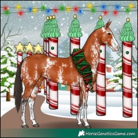 Horse Color:Bay Sabino  and Bay Sabino 