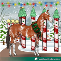 Horse Color:Bay Sabino  and Bay Sabino 