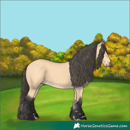 Horse Color:Buckskin 
