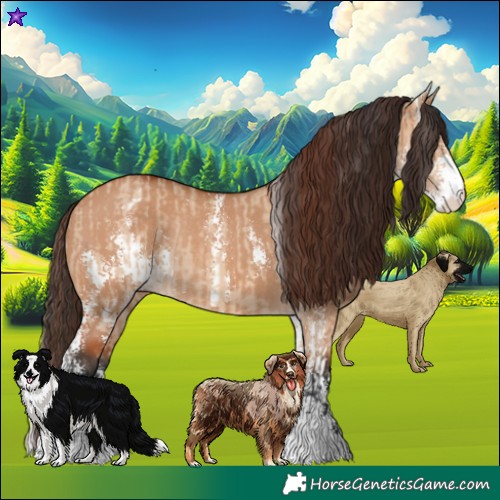 Horse Color:Bay Dun Sabino Rabicano  and Bay Dun Sabino Varnish Rabicano 