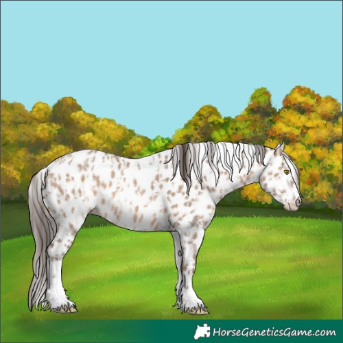 Horse Color:Amber Champagne Sabino Tobiano Leopard  and Sable Champagne Sabino Tobiano Leopard 