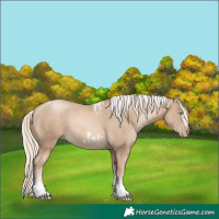Horse Color:Chocolate Palomino Pearl Tobiano Frame and Chocolate Palomino Pearl Tobiano Frame