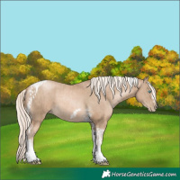 Horse Color:Chocolate Palomino Pearl Tobiano Frame and Chocolate Palomino Pearl Tobiano Frame