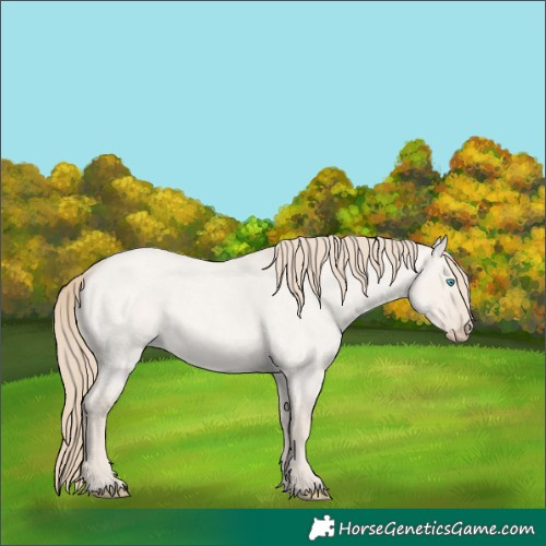 Horse Color:Smoky Creme Roan Dun 