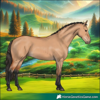 Horse Color:Bay Dun