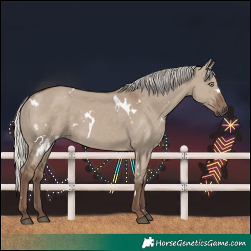Horse Color:White Spotted Silver Grullo Rabicano 