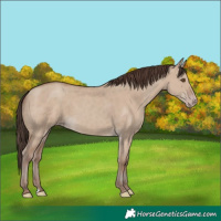 Horse Color:Classic Champagne Dun 