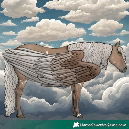 Horse Color:White Spotted Silver Grullo Rabicano 