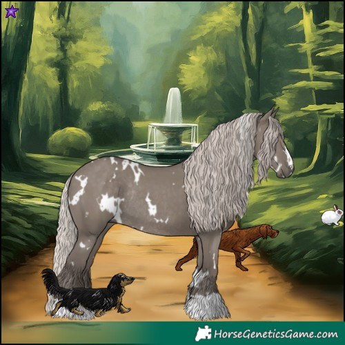 Horse Color:White Spotted Silver Grullo Rabicano