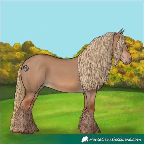Horse Color:Red Dun