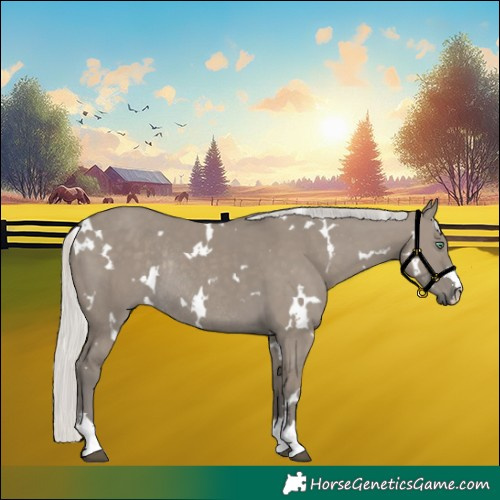 Horse Color:White Spotted Silver Smoky Grullo Rabicano 